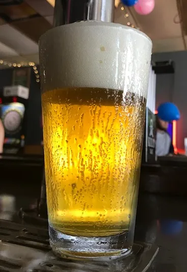 Pint Bud Light Draft 9- Close